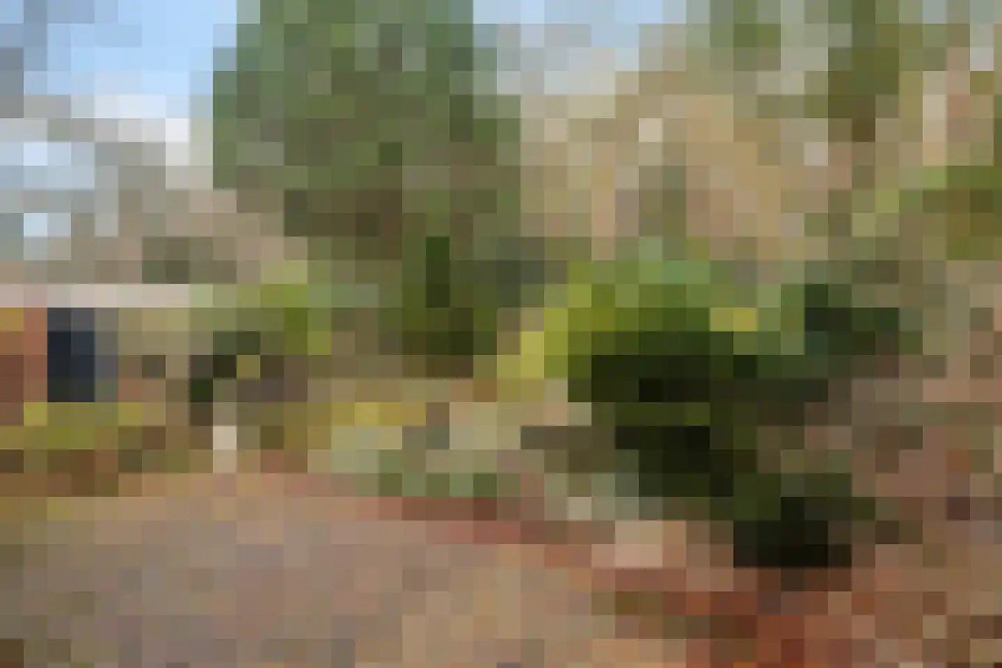 Amersfoortsestraat 79 Soesterberg thumbnail 30