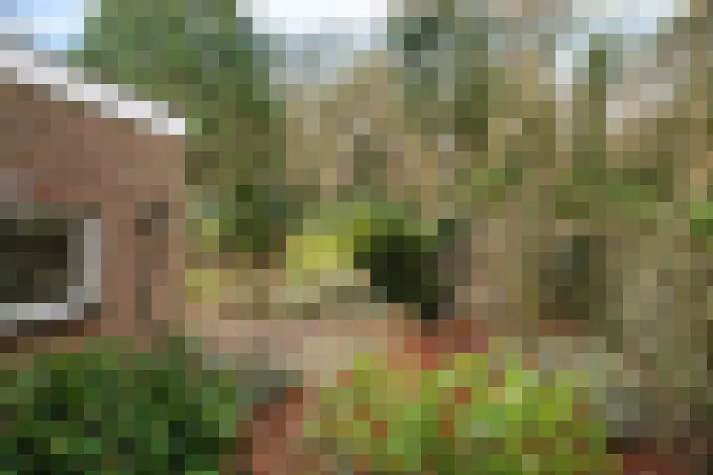 Amersfoortsestraat 79 Soesterberg thumbnail 31