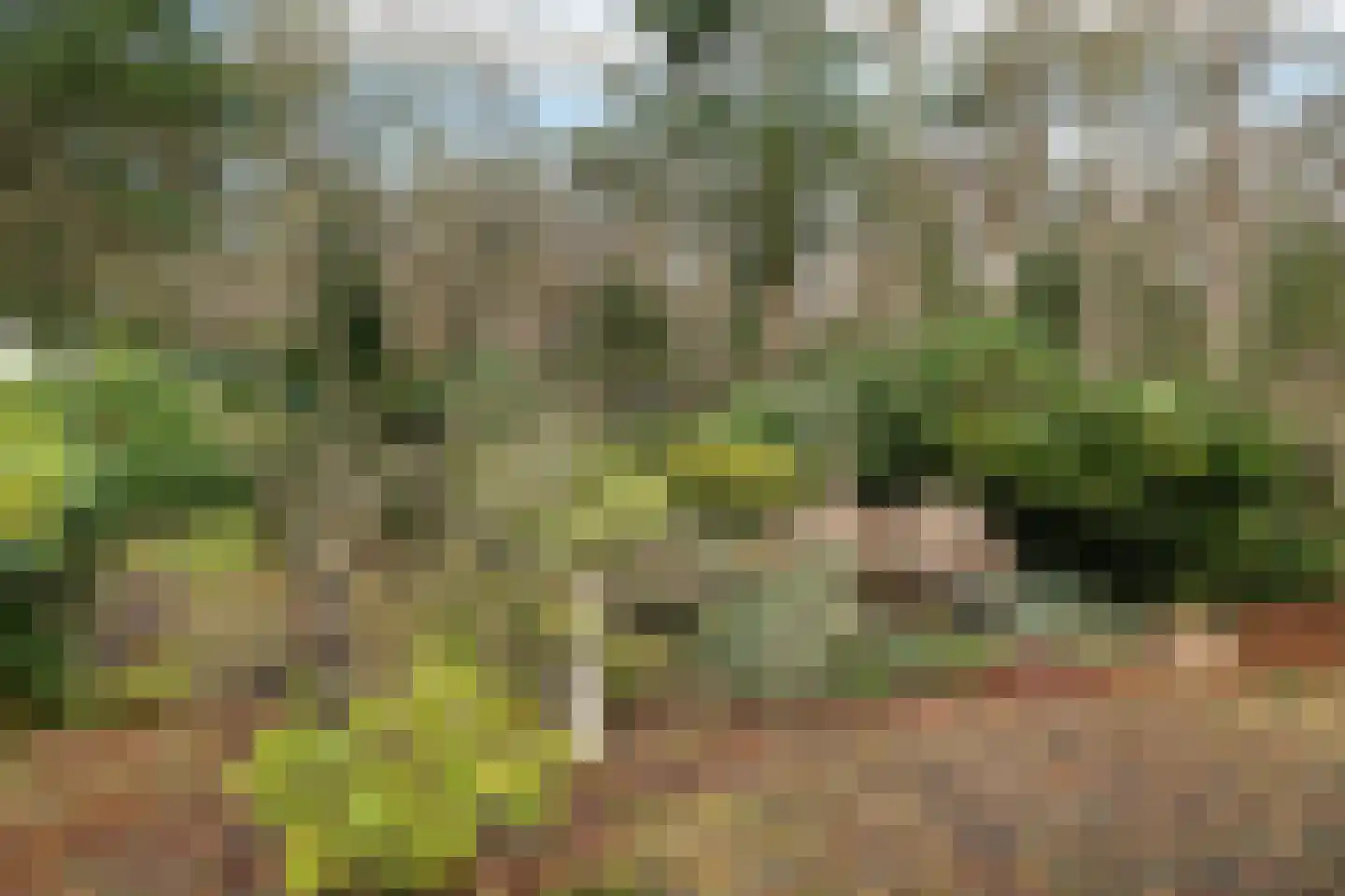 Amersfoortsestraat 79 Soesterberg thumbnail 32