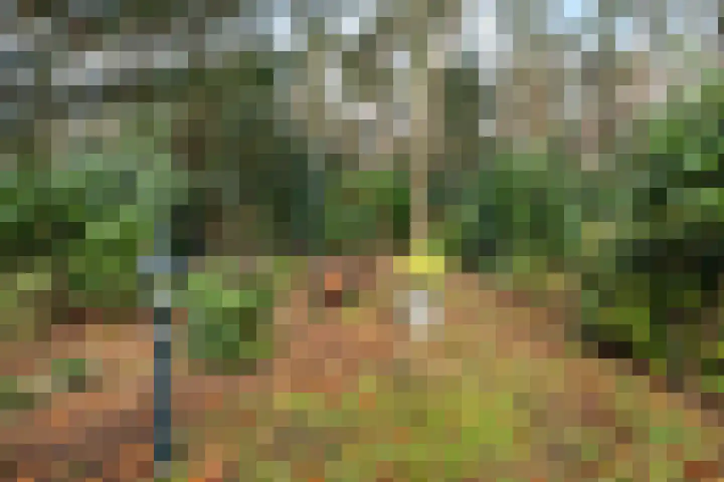 Amersfoortsestraat 79 Soesterberg thumbnail 34
