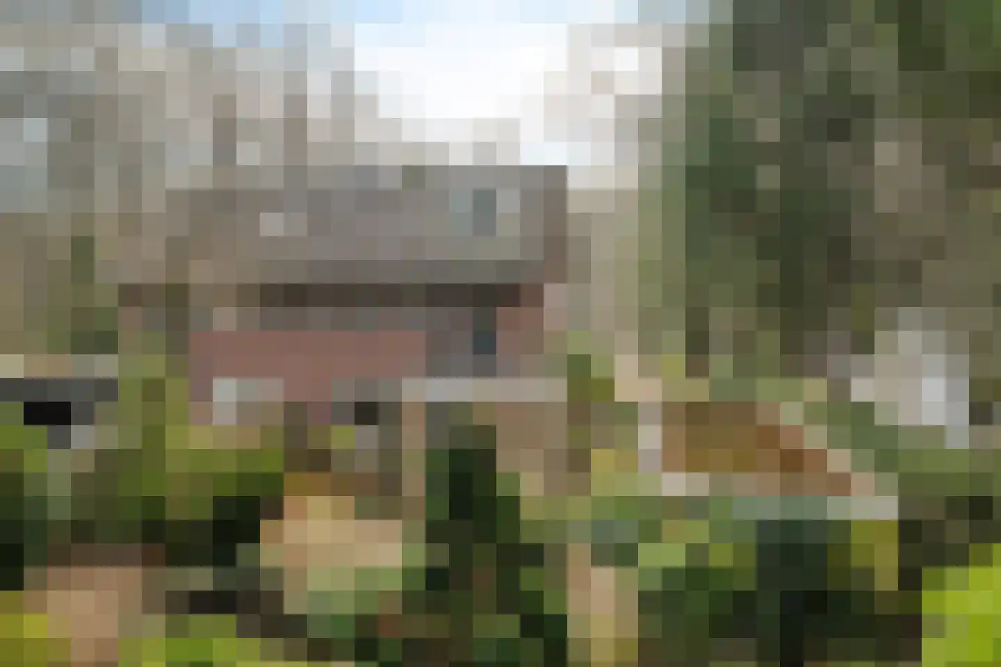 Amersfoortsestraat 79 Soesterberg thumbnail 36