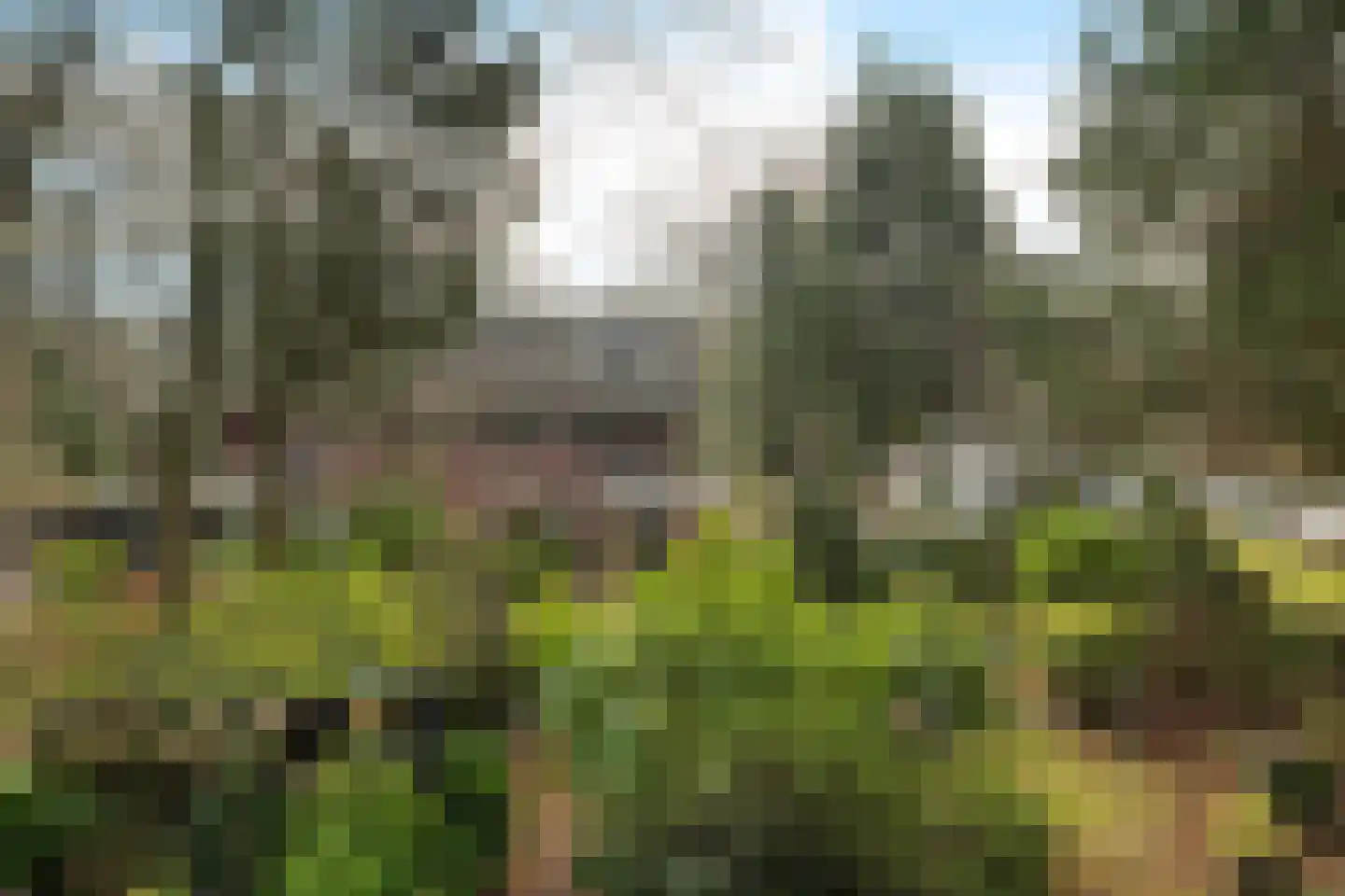 Amersfoortsestraat 79 Soesterberg thumbnail 37