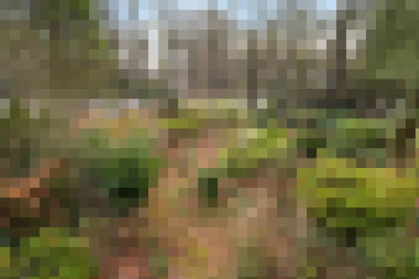 Amersfoortsestraat 79 Soesterberg thumbnail 38