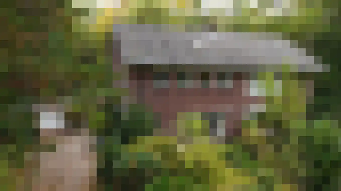 Amersfoortsestraat 79 Soesterberg thumbnail 39