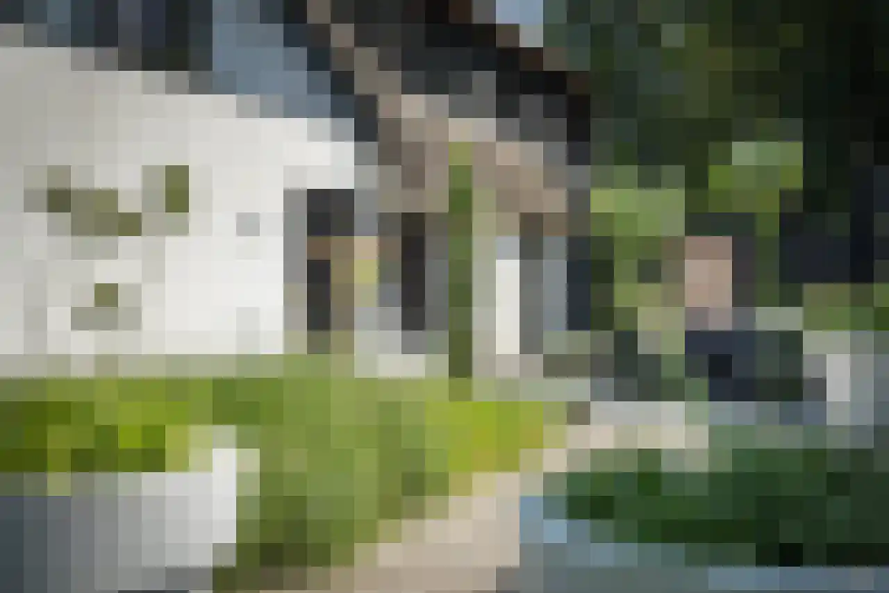 Amersfoortsestraat 97 Soesterberg thumbnail 21