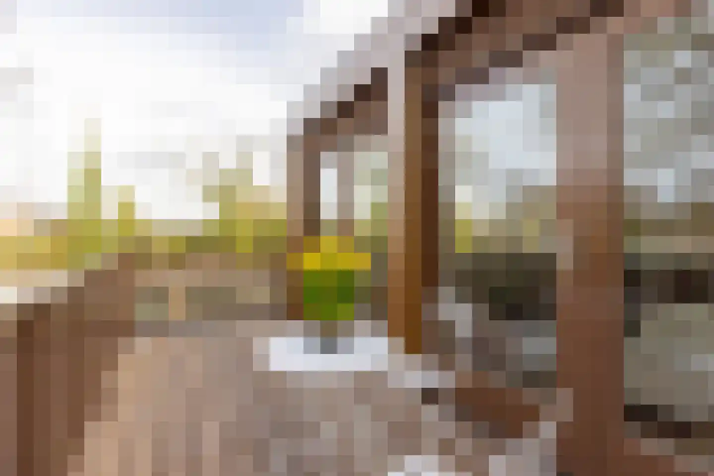 Amersfoortsestraatweg 90 A 018 Naarden thumbnail 10