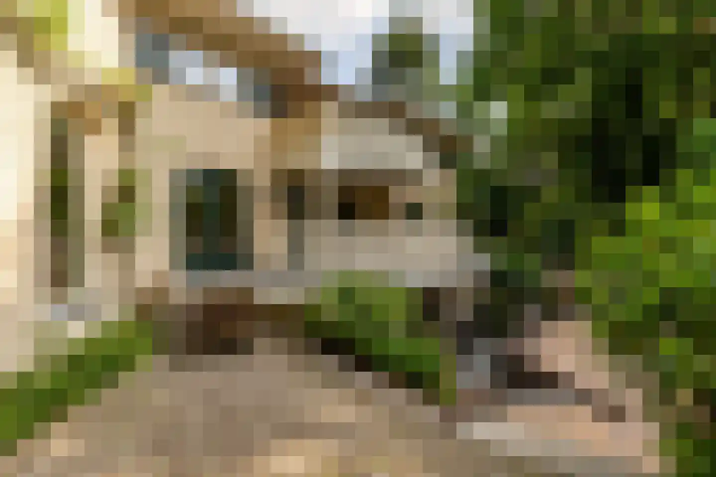 Amersfoortseweg 11 Bosch en Duin thumbnail 28