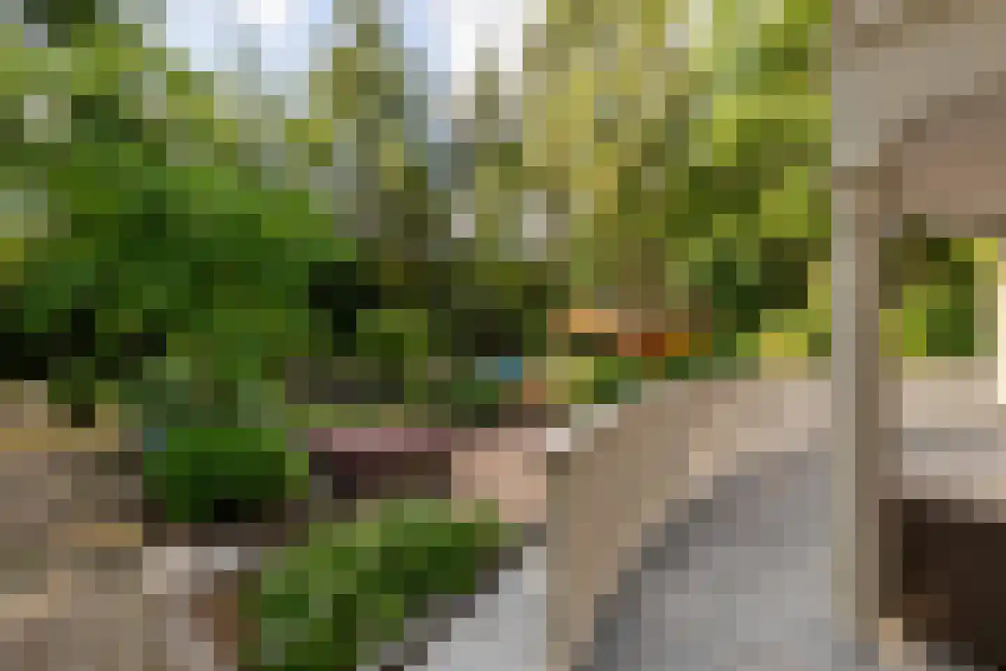 Amersfoortseweg 11 Bosch en Duin thumbnail 30