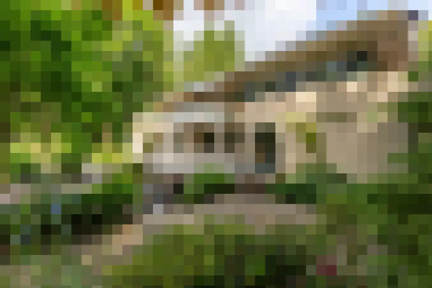 Amersfoortseweg 11 Bosch en Duin thumbnail 31