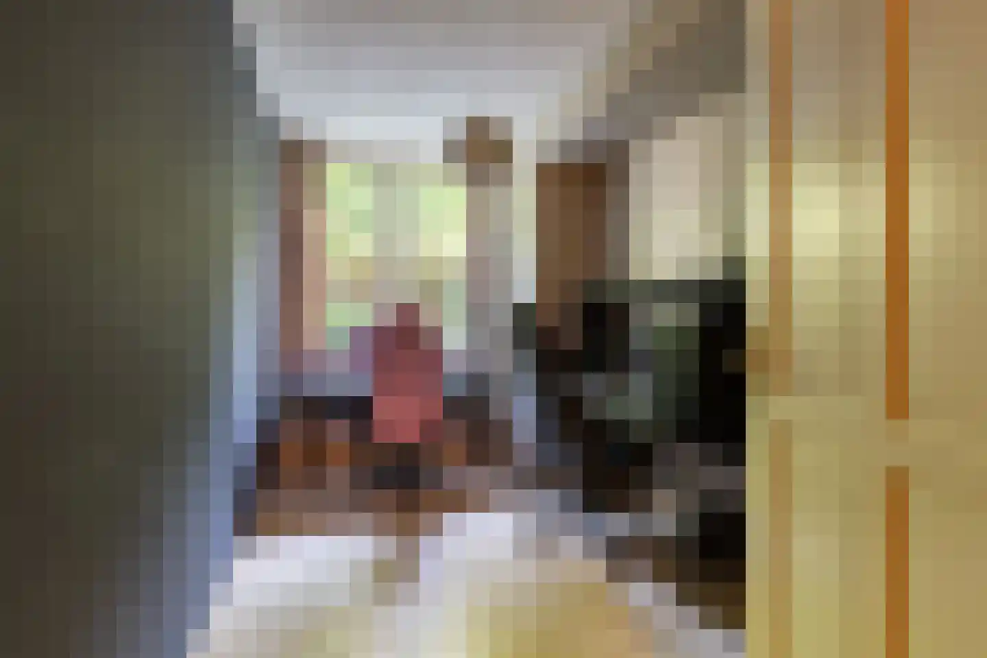 Amersfoortseweg 11 Bosch en Duin thumbnail 38