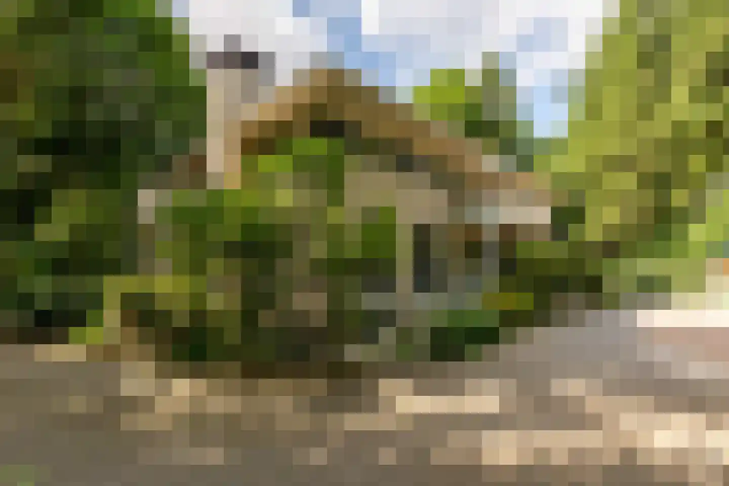 Amersfoortseweg 11 Bosch en Duin thumbnail 4