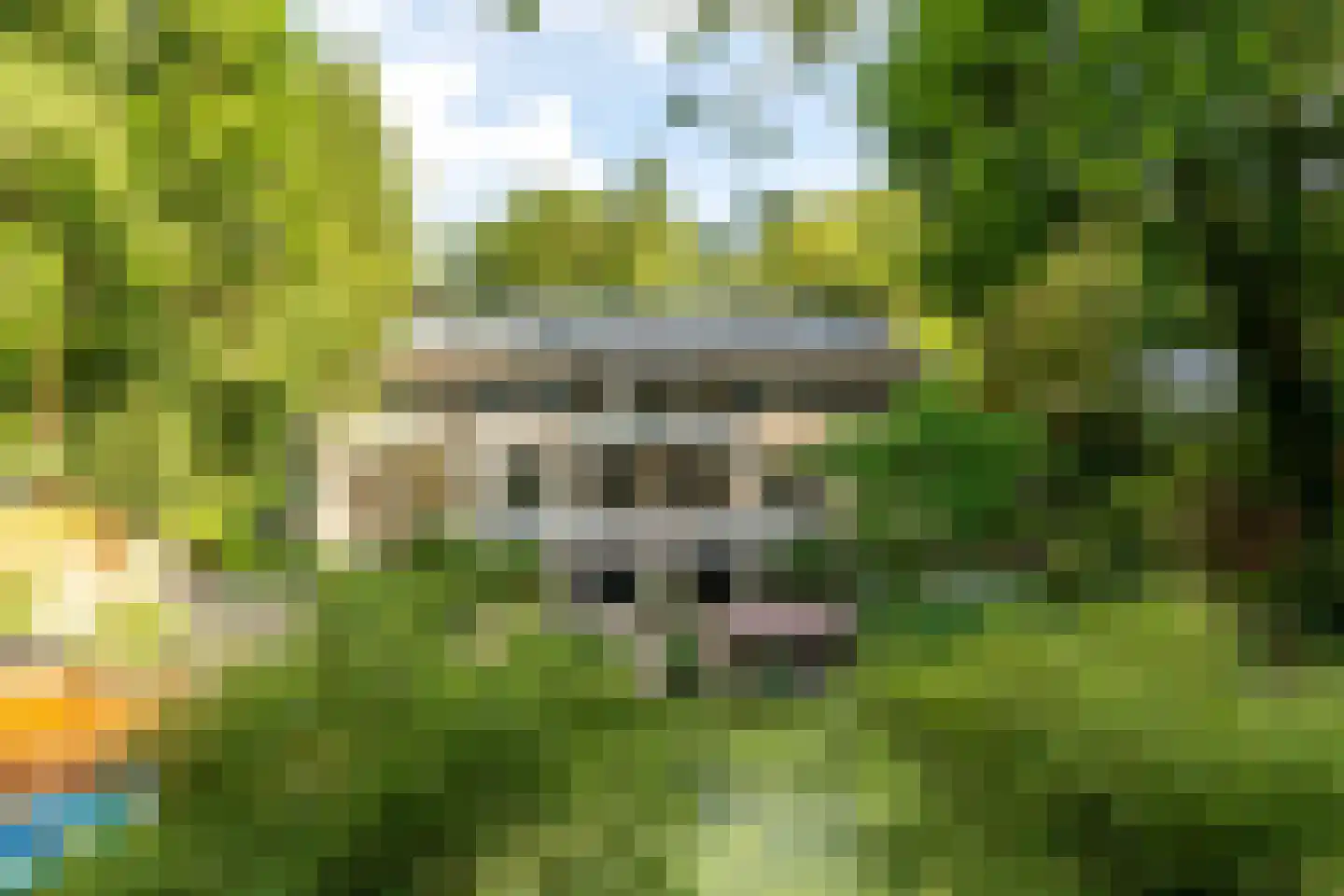 Amersfoortseweg 11 Bosch en Duin thumbnail 5