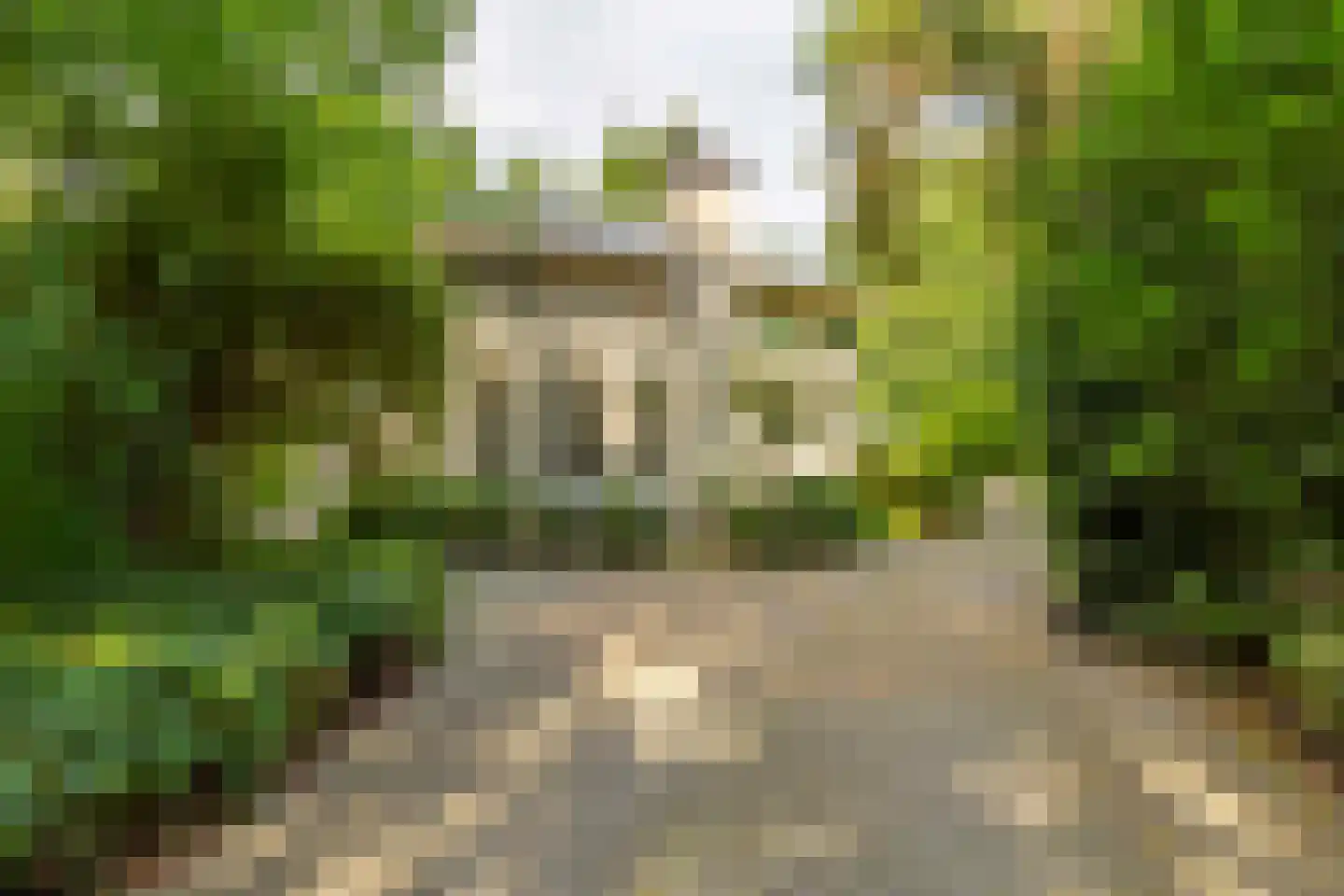 Amersfoortseweg 11 Bosch en Duin thumbnail 65