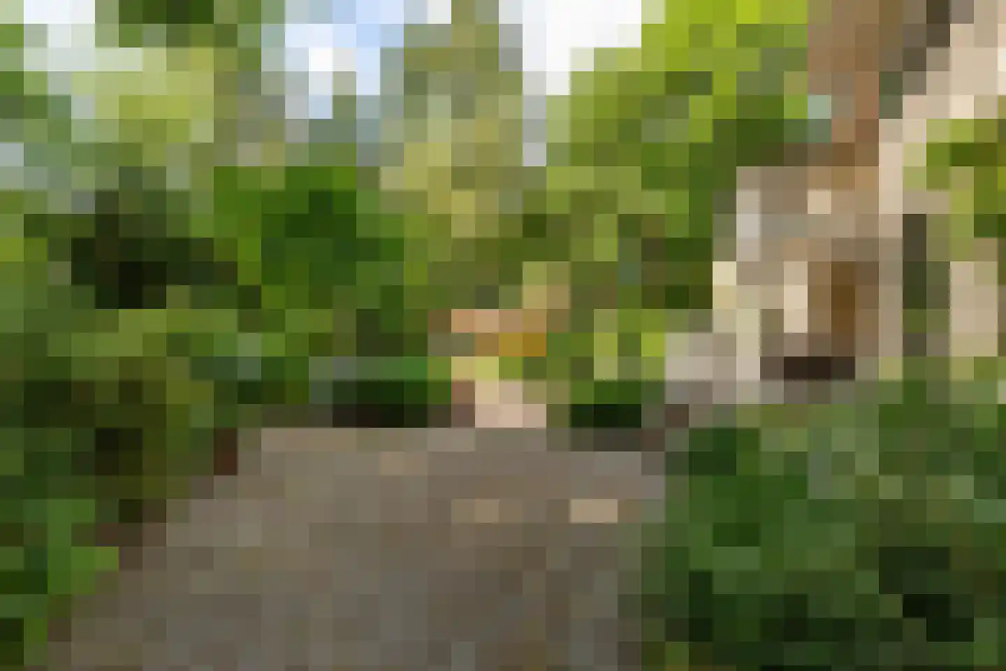Amersfoortseweg 11 Bosch en Duin thumbnail 66