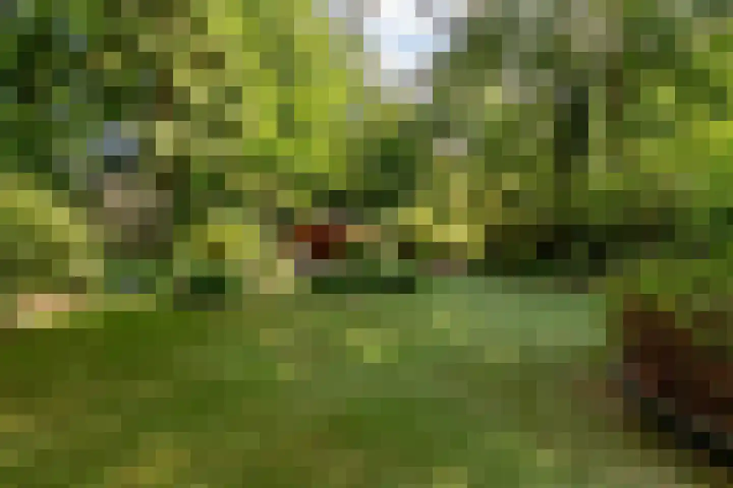 Amersfoortseweg 11 Bosch en Duin thumbnail 68