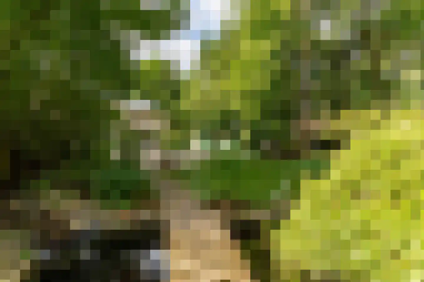Amersfoortseweg 11 Bosch en Duin thumbnail 70