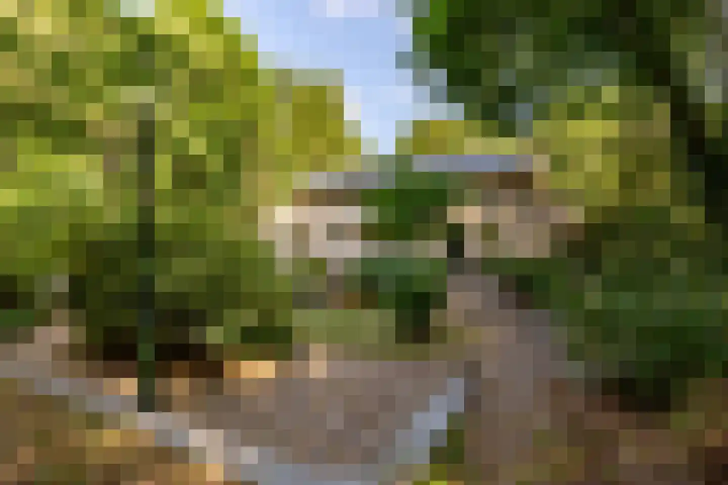 Amersfoortseweg 11 Bosch en Duin thumbnail 73