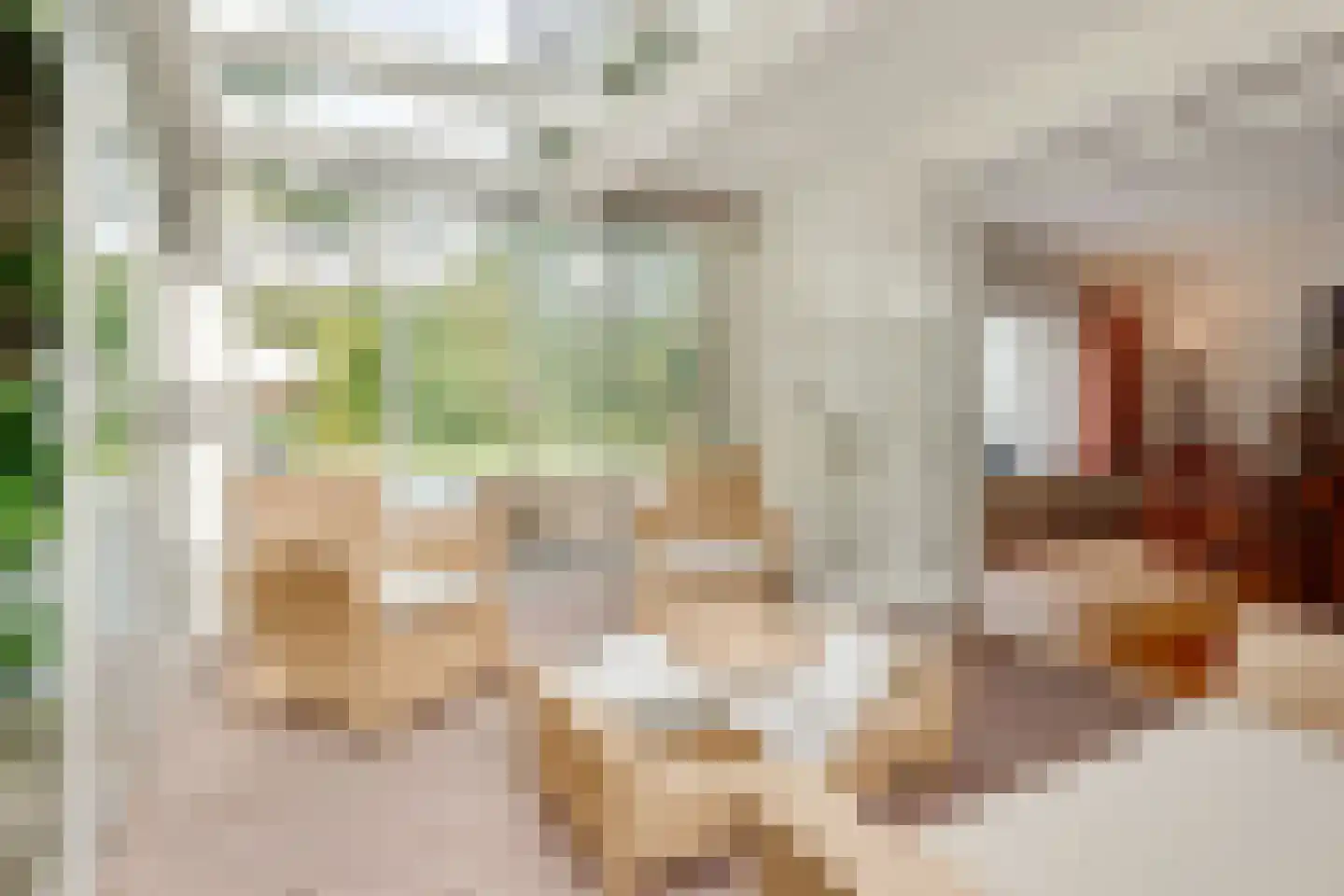 Amersfoortseweg 13 B Bosch en Duin thumbnail 12