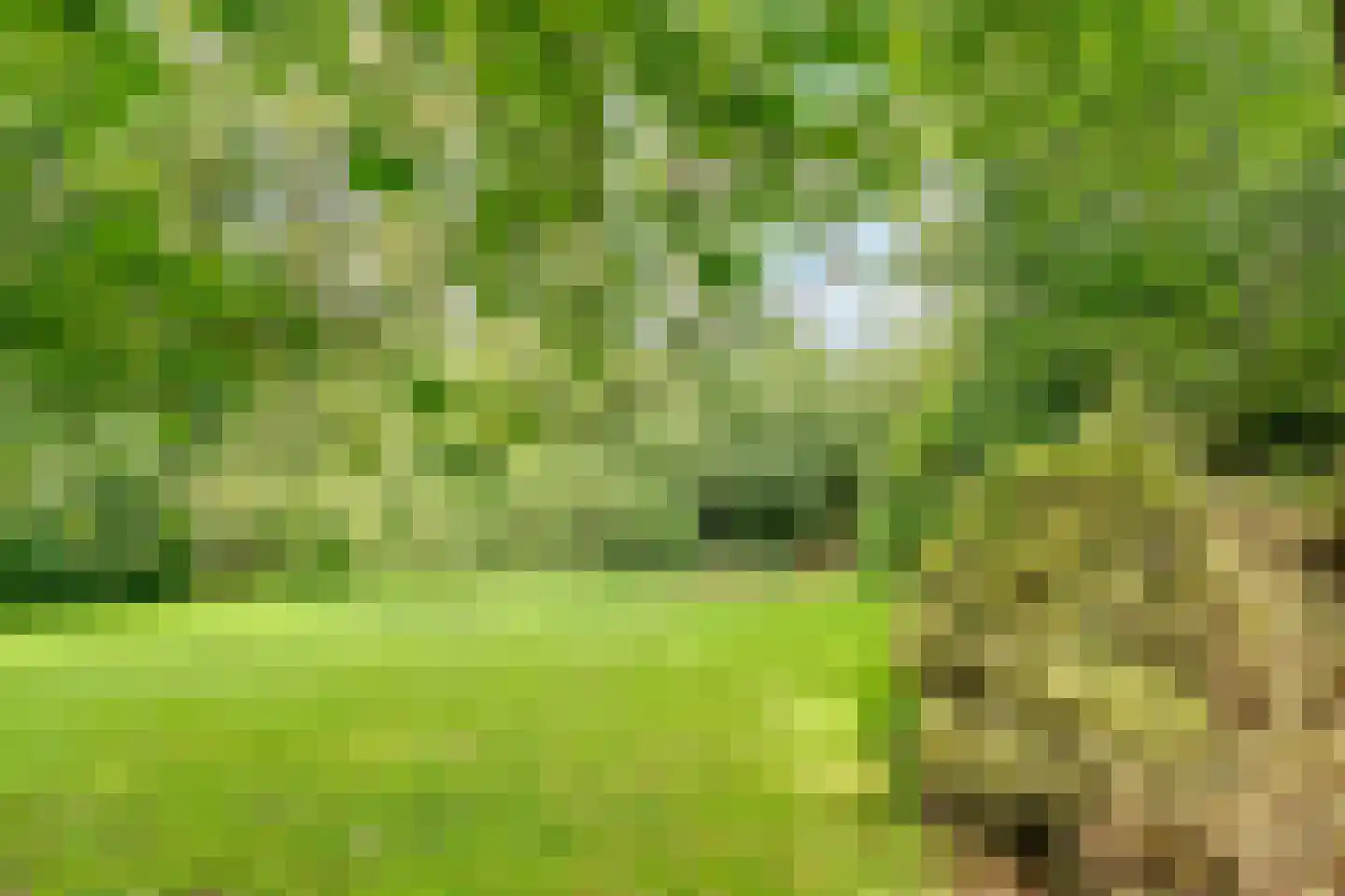Amersfoortseweg 13 B Bosch en Duin thumbnail 39