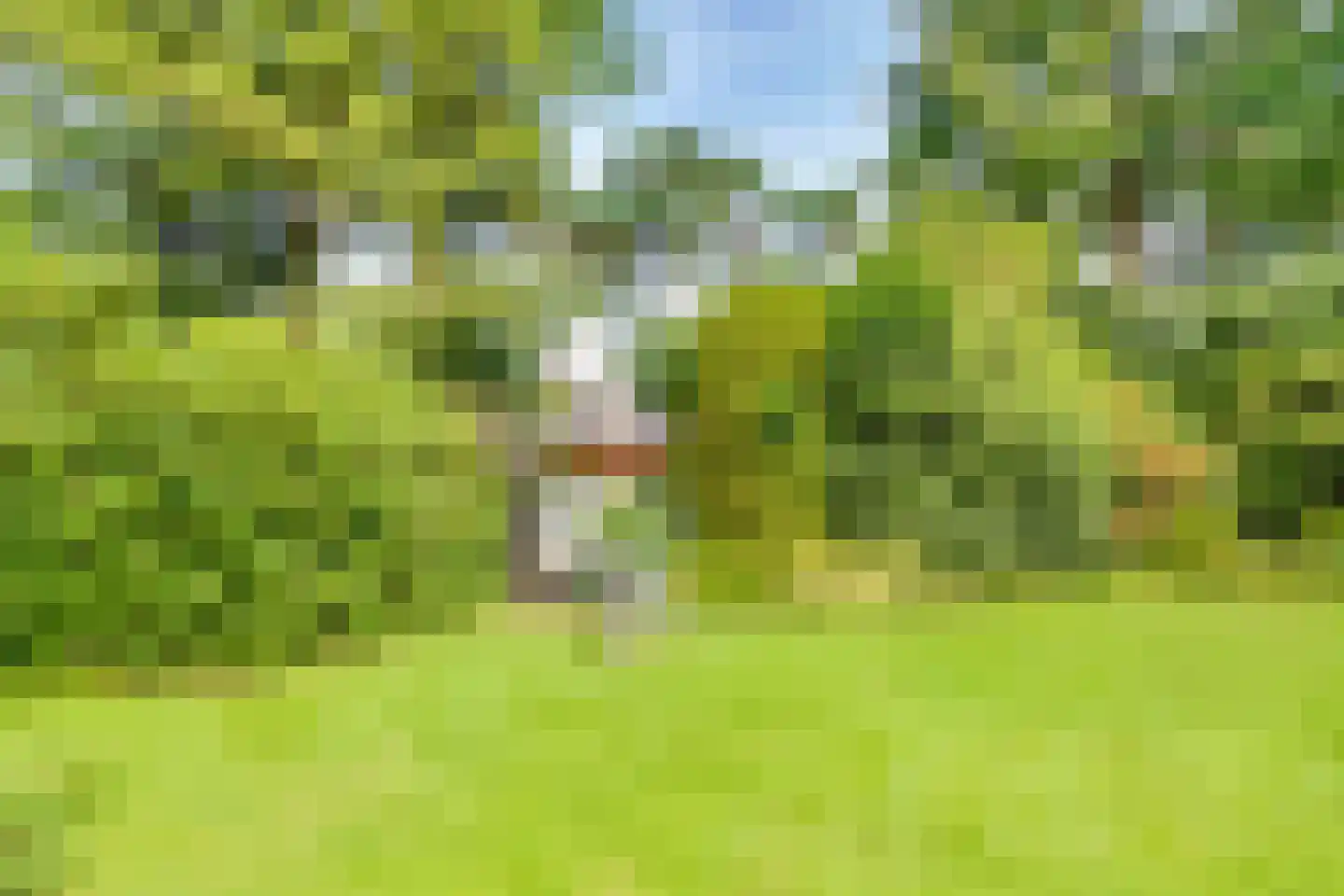 Amersfoortseweg 13 B Bosch en Duin thumbnail 42