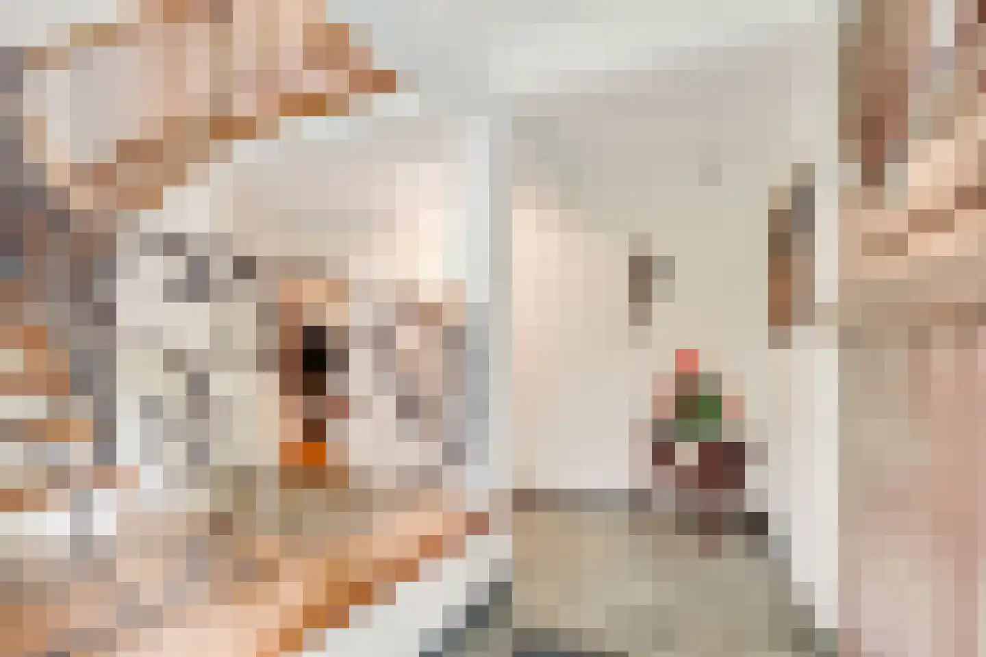 Amersfoortseweg 13 B Bosch en Duin thumbnail 5