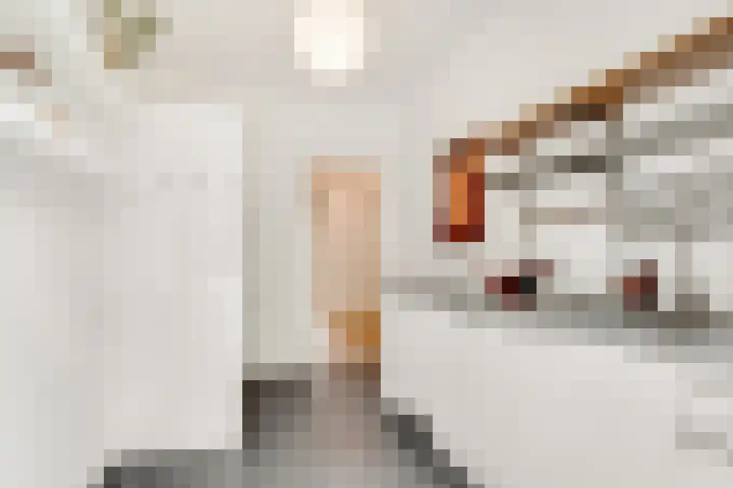 Amersfoortseweg 15 A Bosch en Duin thumbnail 15
