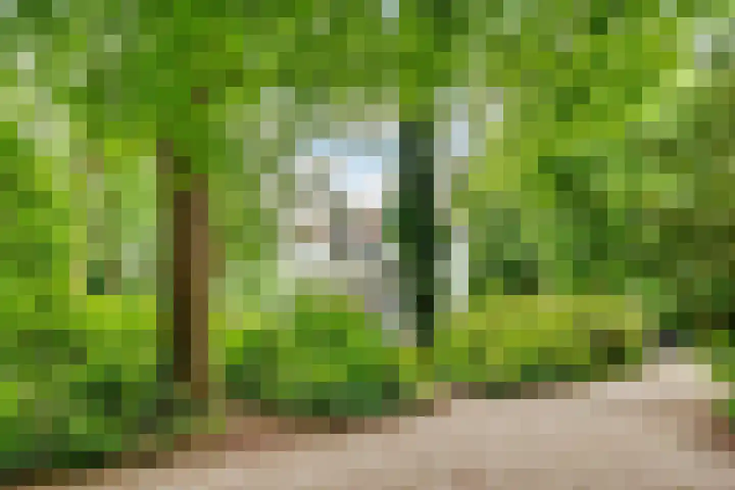 Amersfoortseweg 15 A Bosch en Duin thumbnail 32