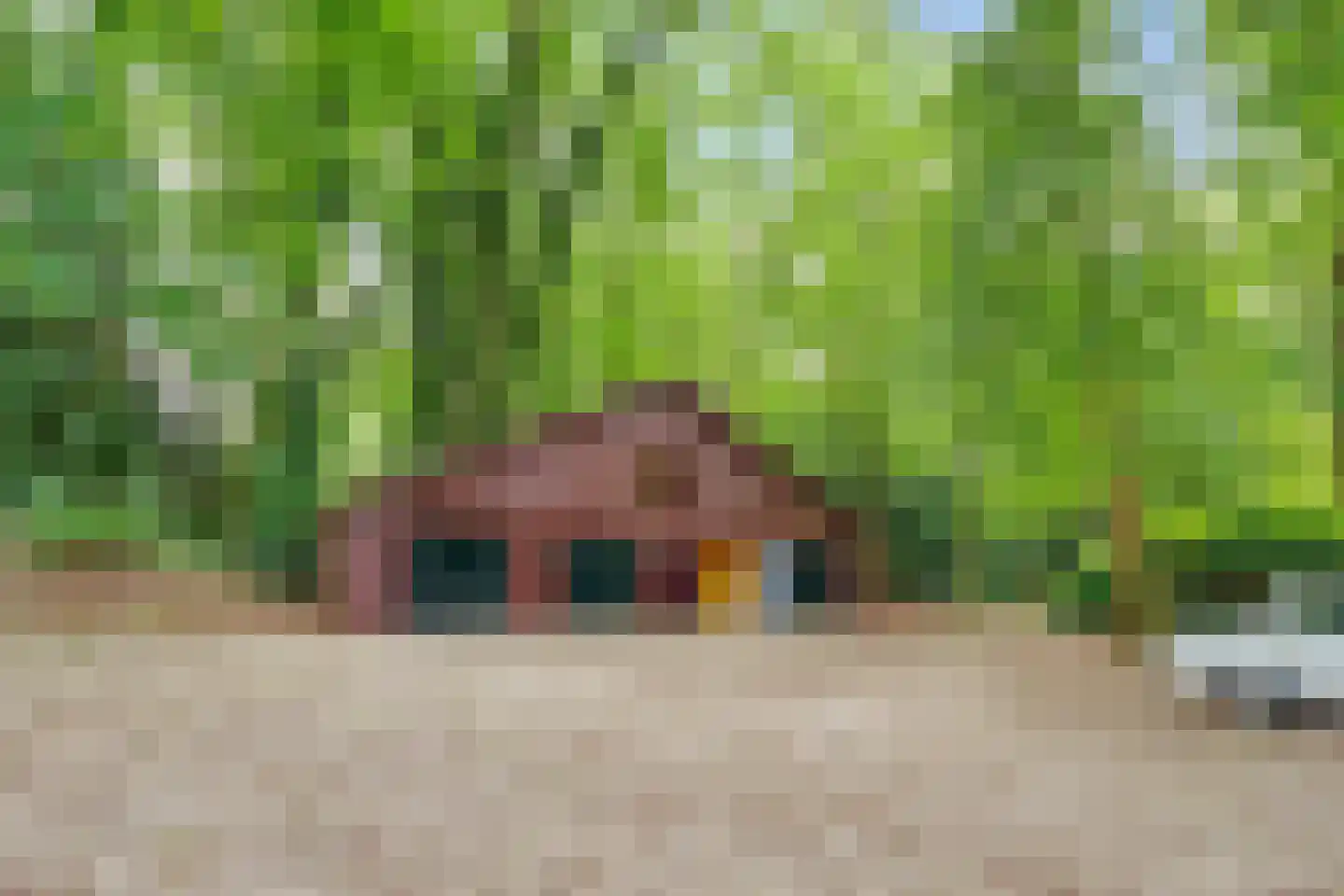 Amersfoortseweg 15 A Bosch en Duin thumbnail 33