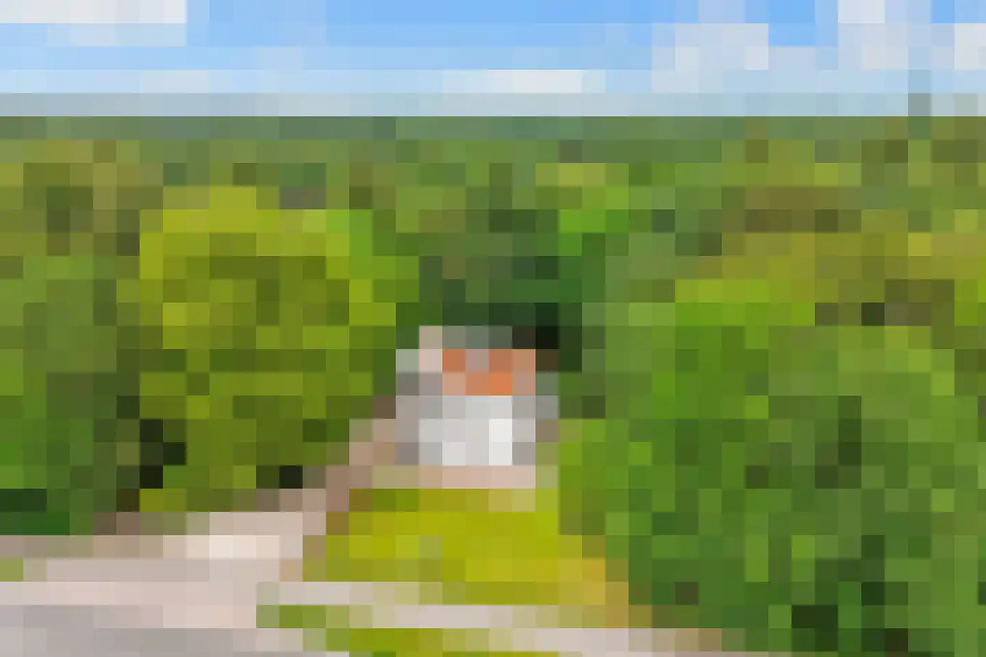 Amersfoortseweg 15 A Bosch en Duin thumbnail 35
