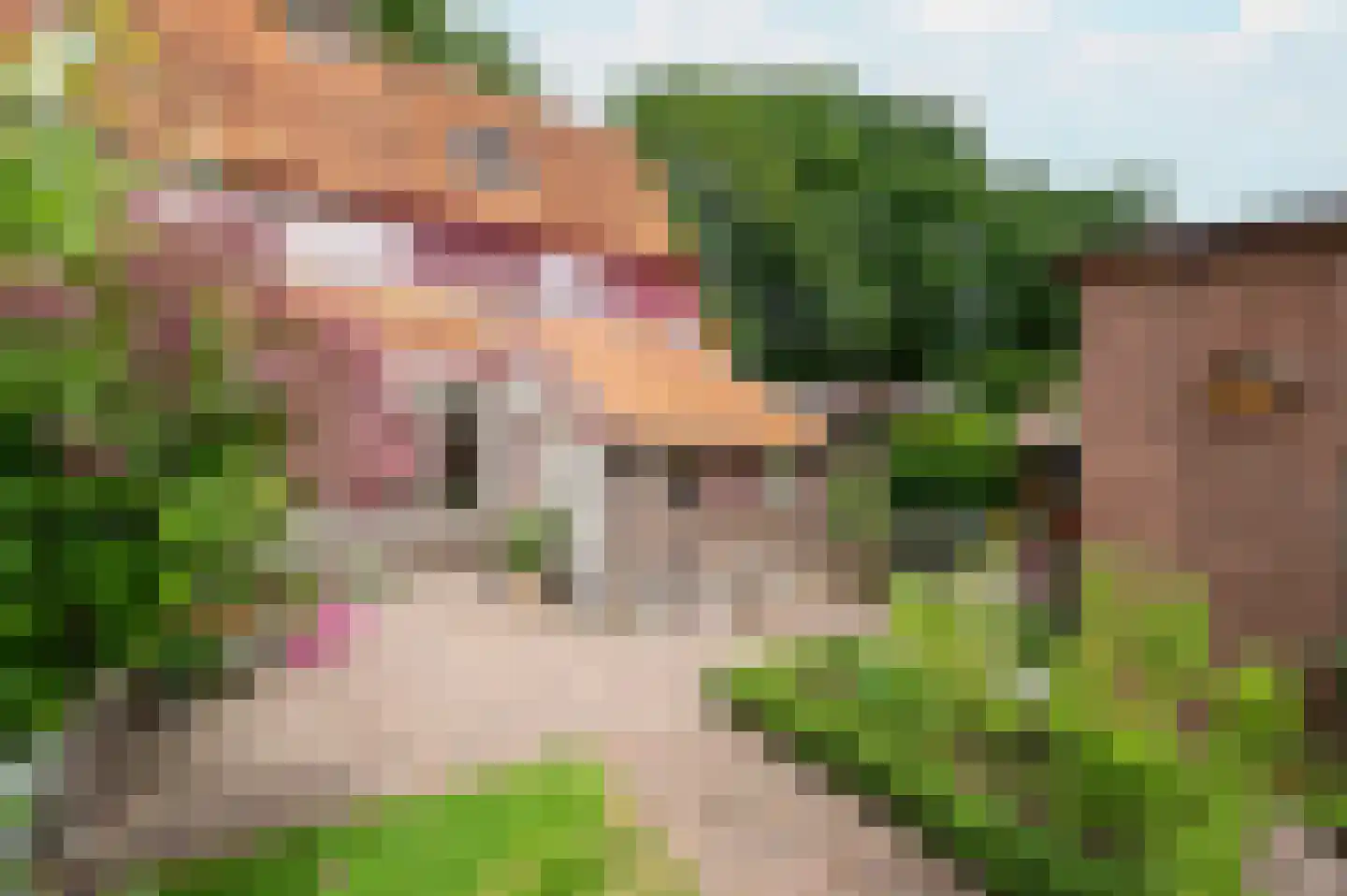 Amersfoortseweg 259 Uddel thumbnail 19
