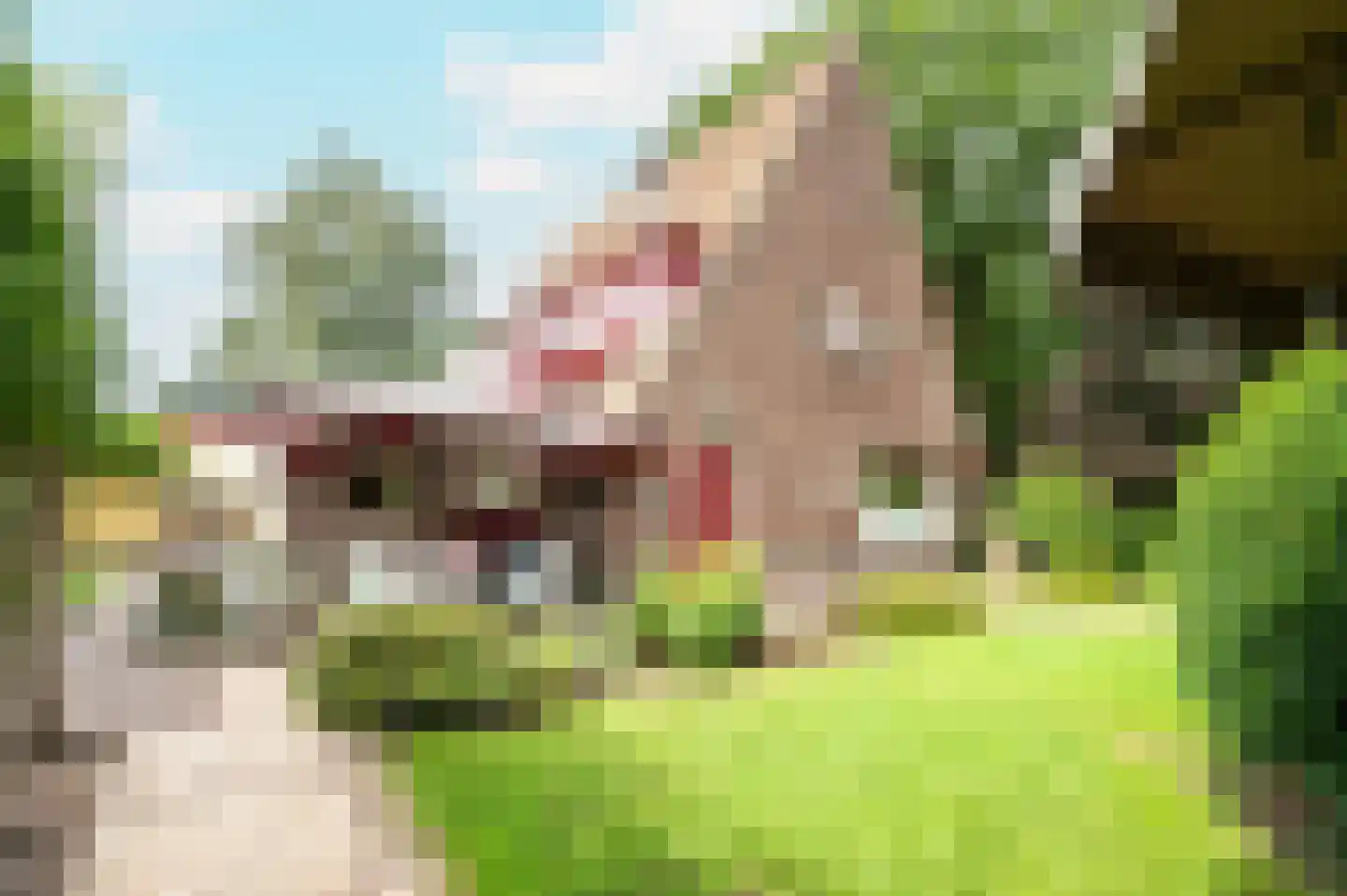 Amersfoortseweg 259 Uddel thumbnail 20