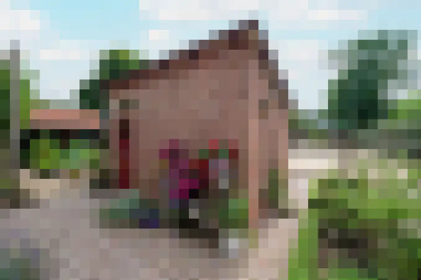 Amersfoortseweg 259 Uddel thumbnail 22