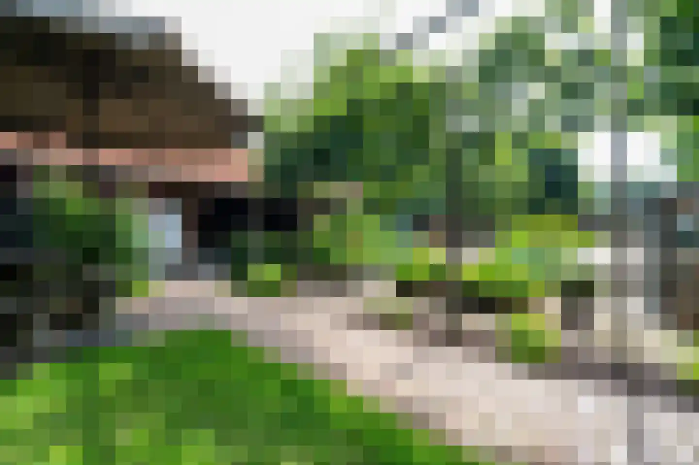 Amersfoortseweg 259 Uddel thumbnail 24