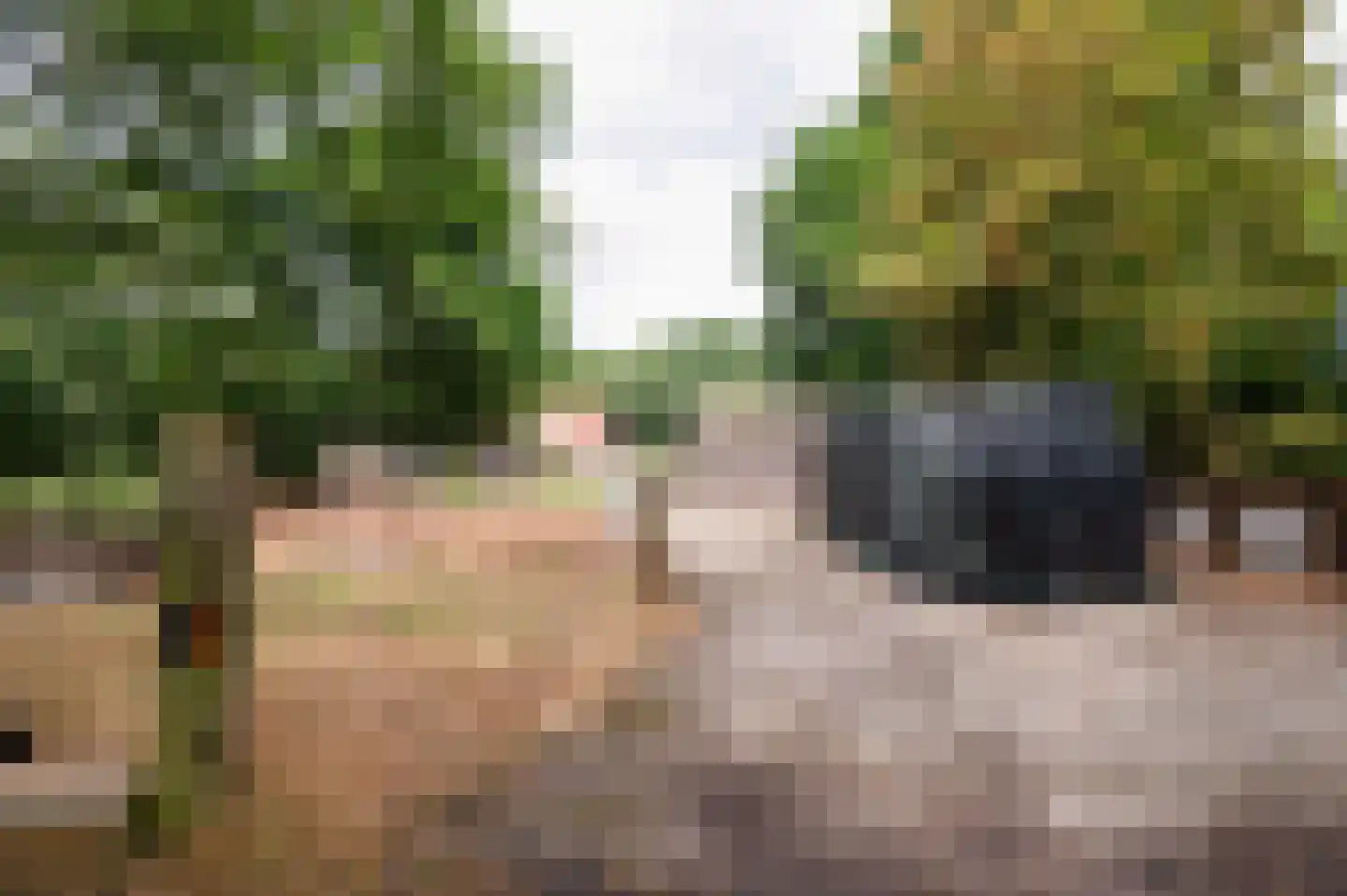 Amersfoortseweg 259 Uddel thumbnail 27