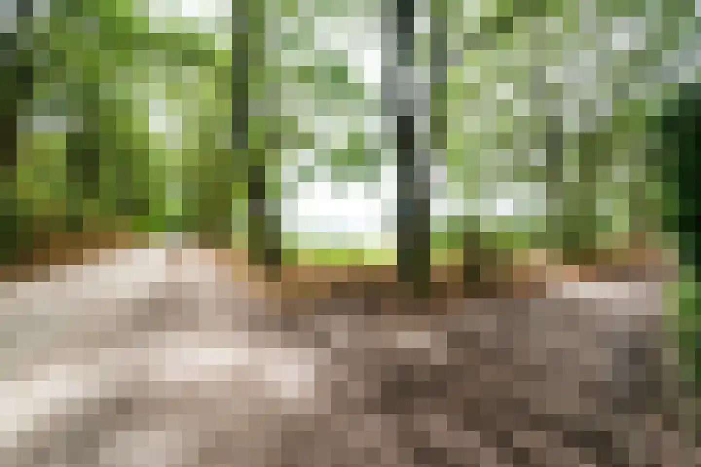 Amersfoortseweg 259 Uddel thumbnail 28
