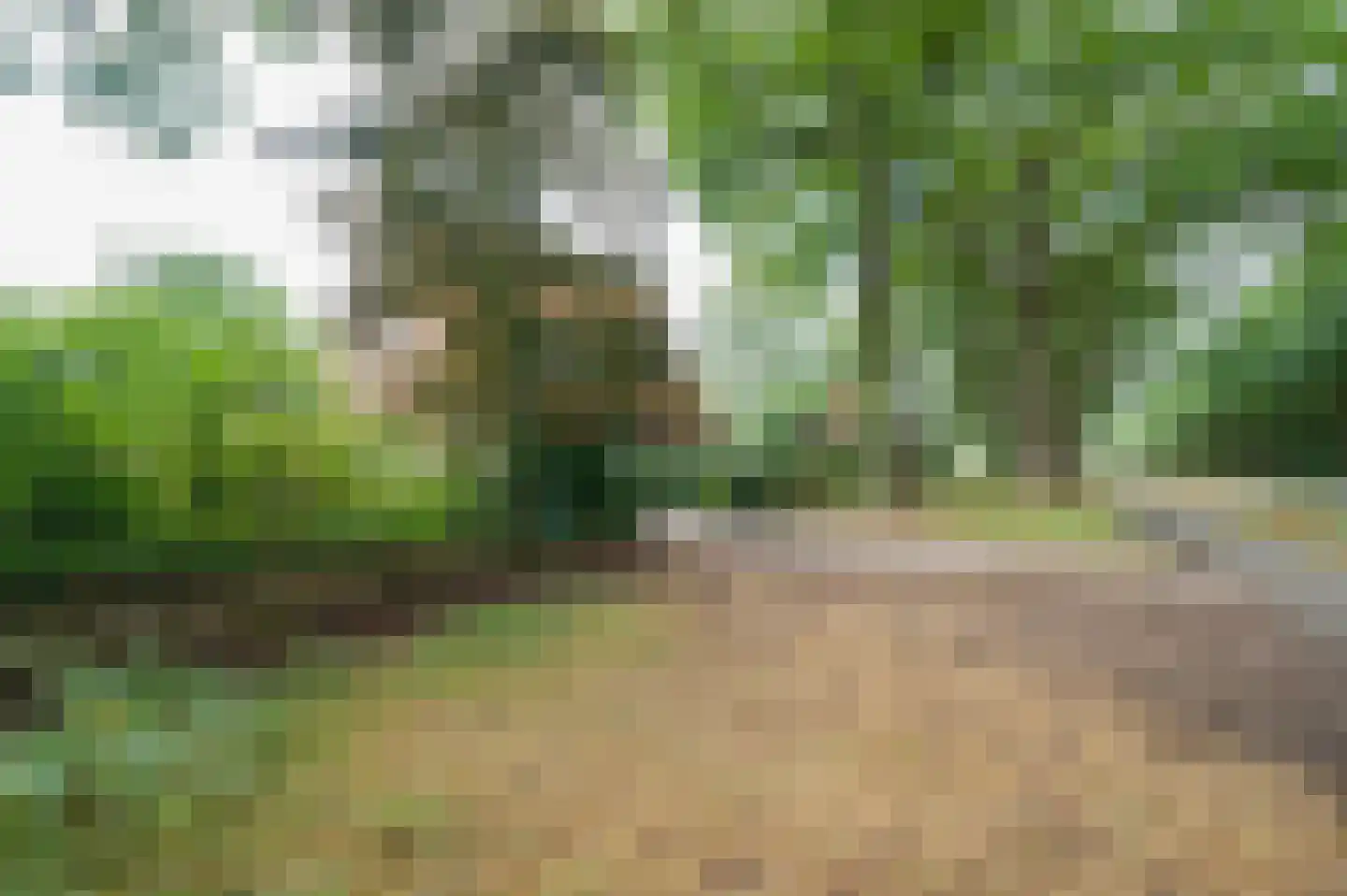 Amersfoortseweg 259 Uddel thumbnail 31
