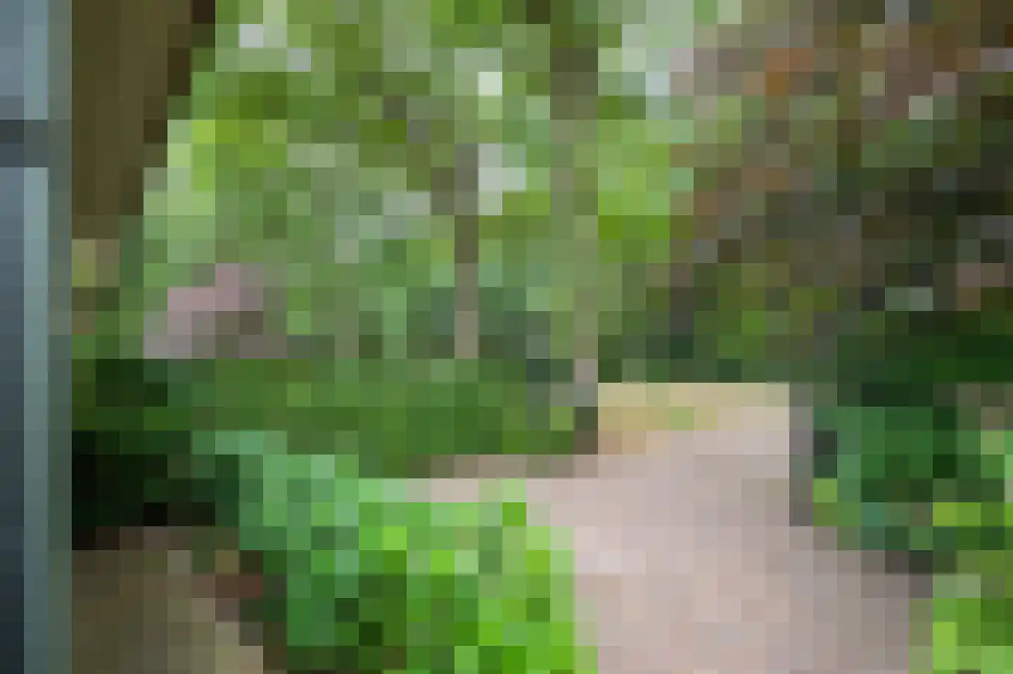 Amersfoortseweg 259 Uddel thumbnail 32