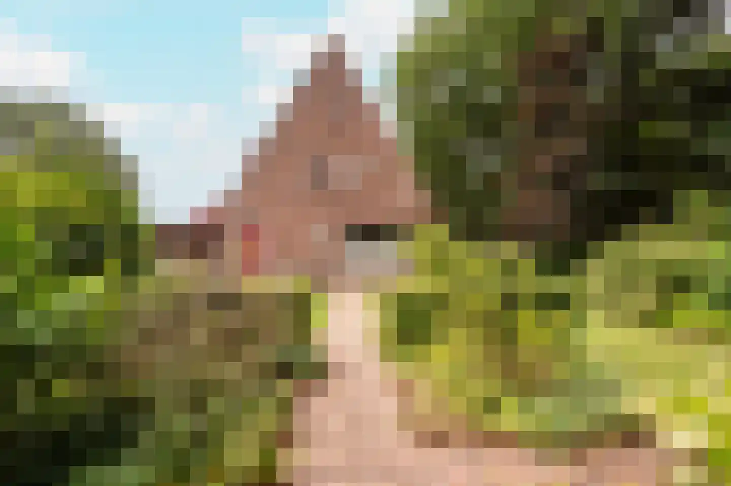 Amersfoortseweg 259 Uddel thumbnail 4