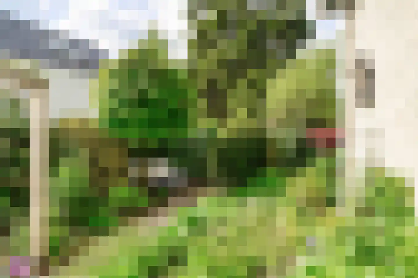 Amersfoortseweg 28 b Maarn thumbnail 41