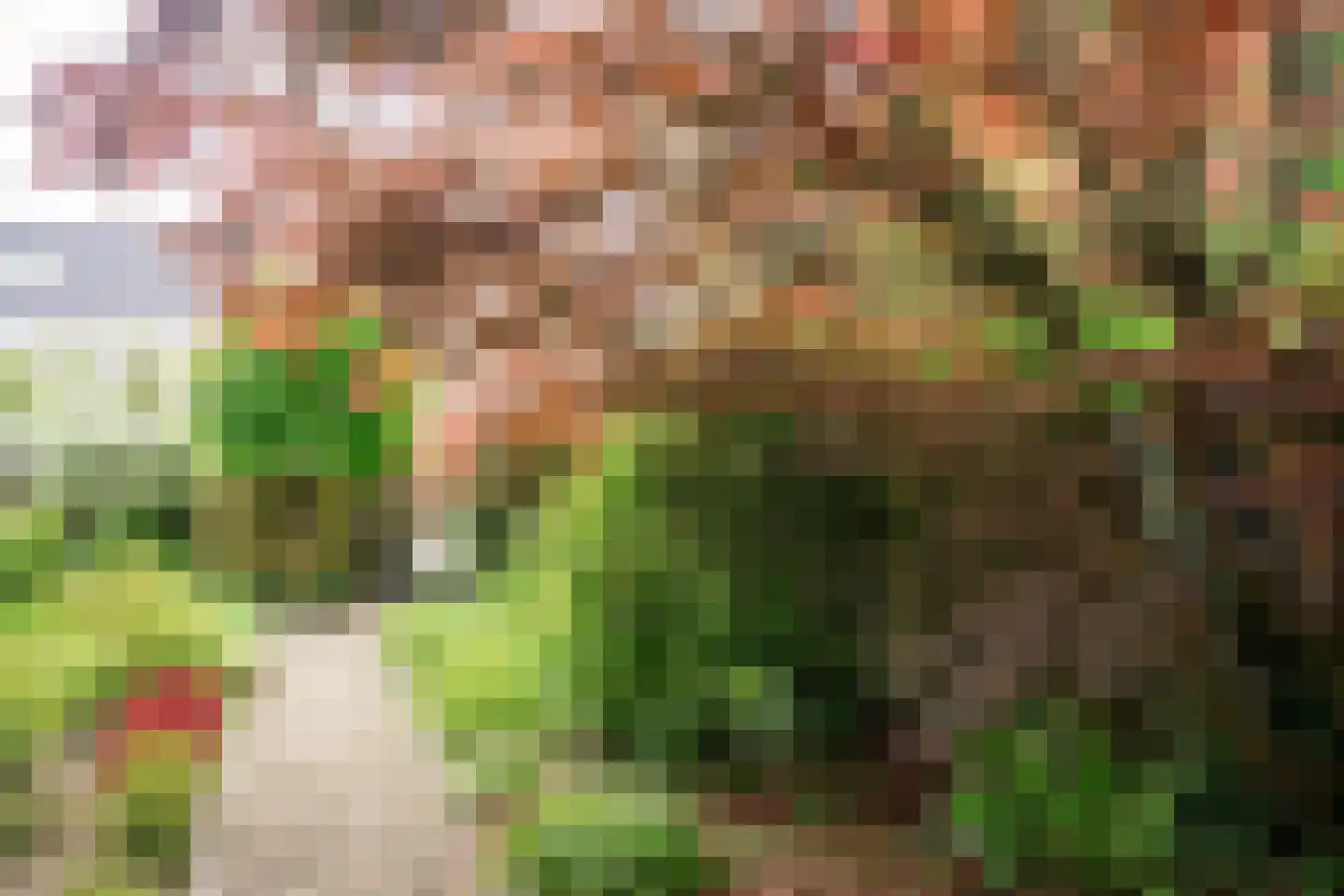 Amersfoortseweg 28 b Maarn thumbnail 42