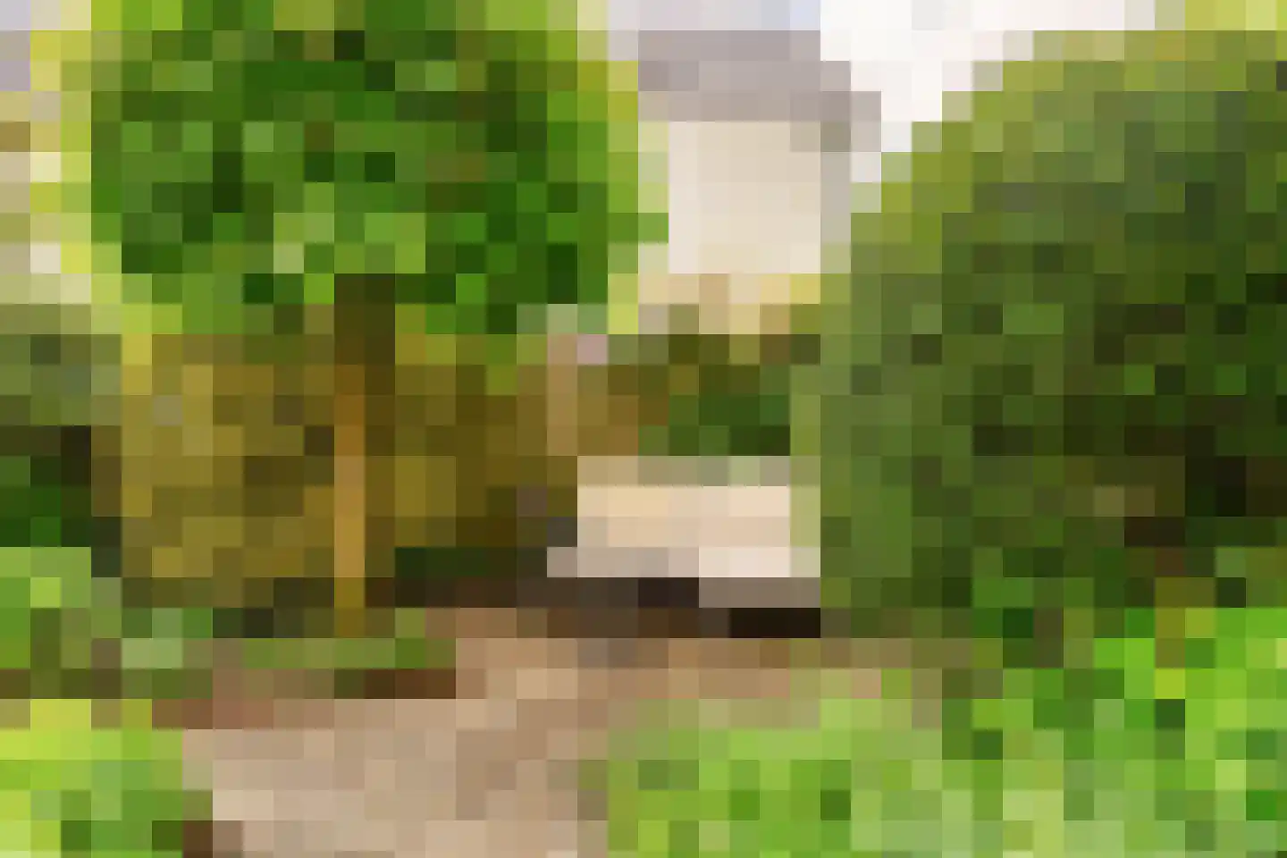 Amersfoortseweg 28 b Maarn thumbnail 43