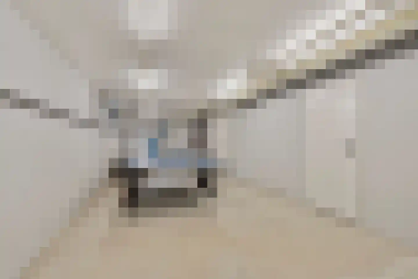 Amersfoortseweg 289 Uddel thumbnail 17