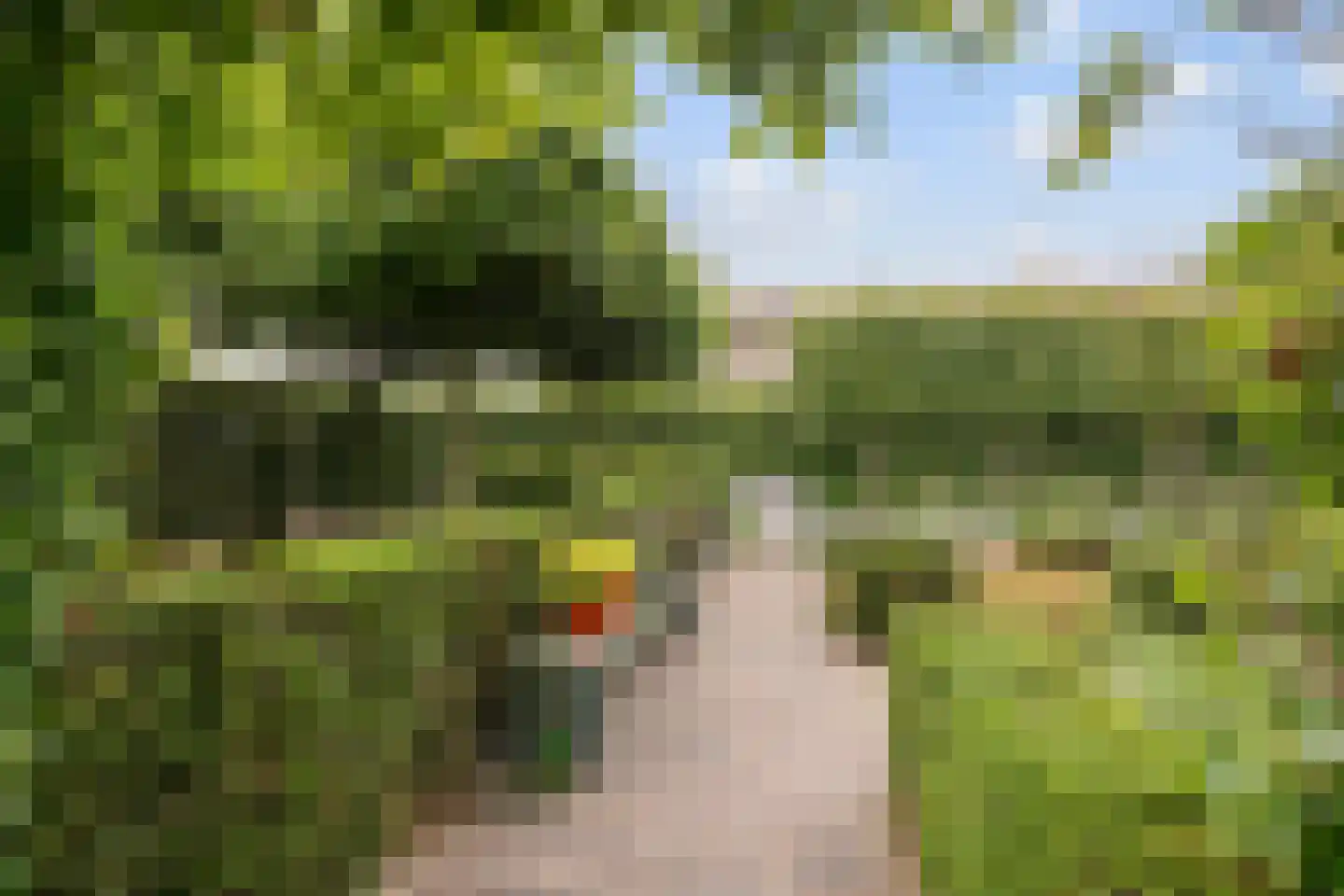 Amersfoortseweg 289 Uddel thumbnail 46