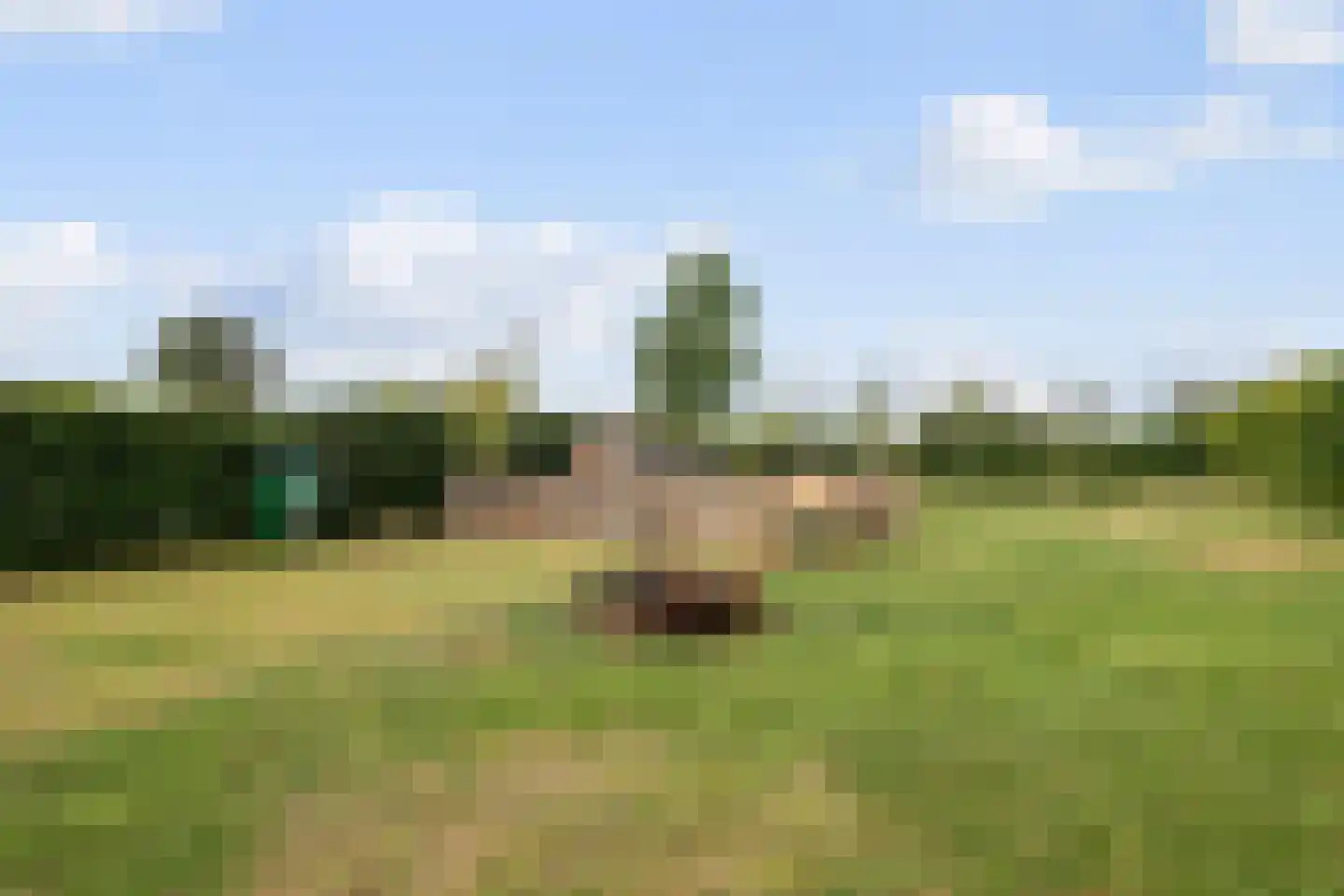 Amersfoortseweg 289 Uddel thumbnail 47