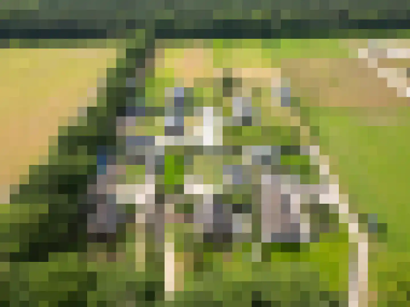 Amersfoortseweg 289 Uddel thumbnail 55