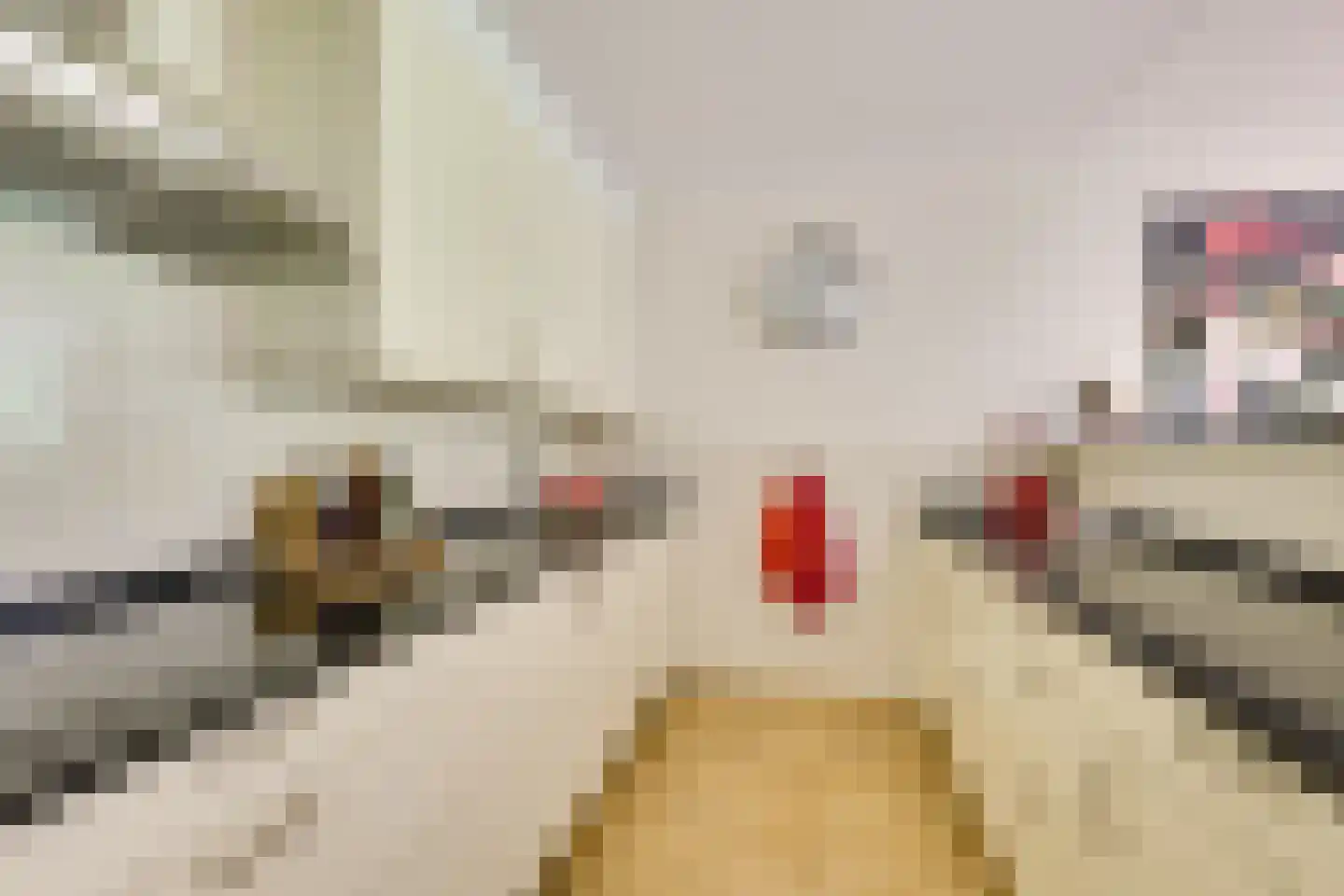 Amersfoortseweg 31 e Doorn thumbnail 16