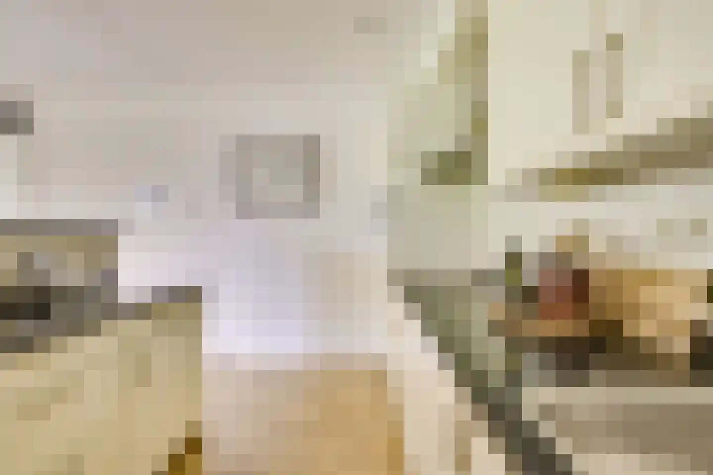 Amersfoortseweg 31 e Doorn thumbnail 17