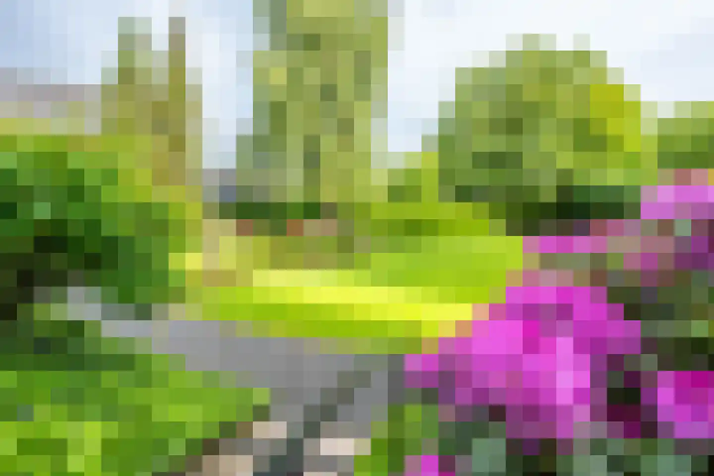 Amersfoortseweg 31 e Doorn thumbnail 20