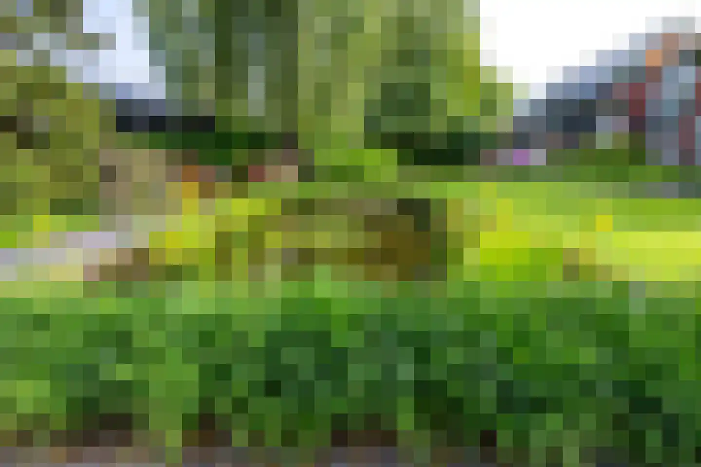 Amersfoortseweg 31 e Doorn thumbnail 21