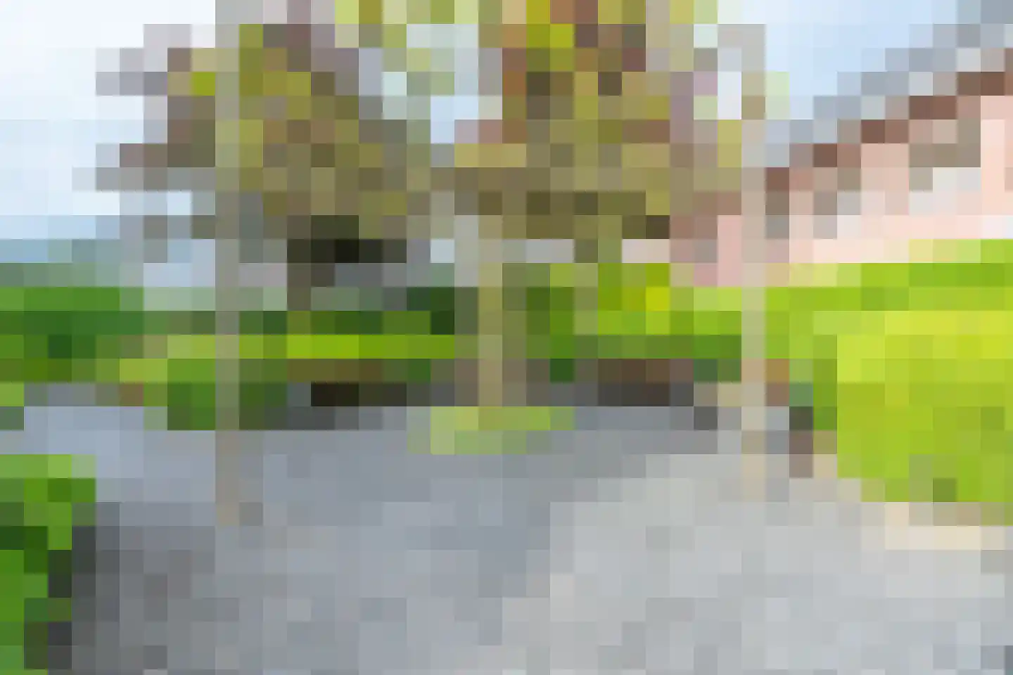 Amersfoortseweg 31 e Doorn thumbnail 22